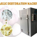 garlic dehydration machine