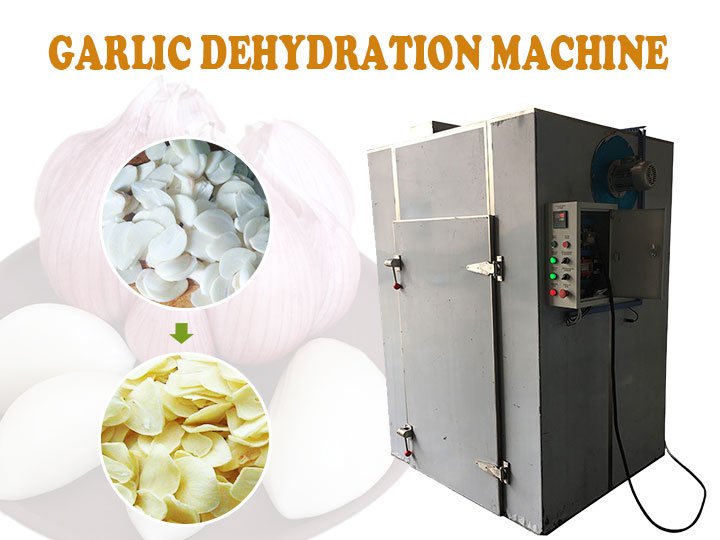 Garlic dehydration machine | industrial garlic drying oven