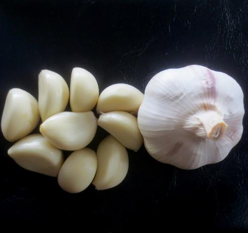 How should the garlic peeling machine be maintained during the winter?