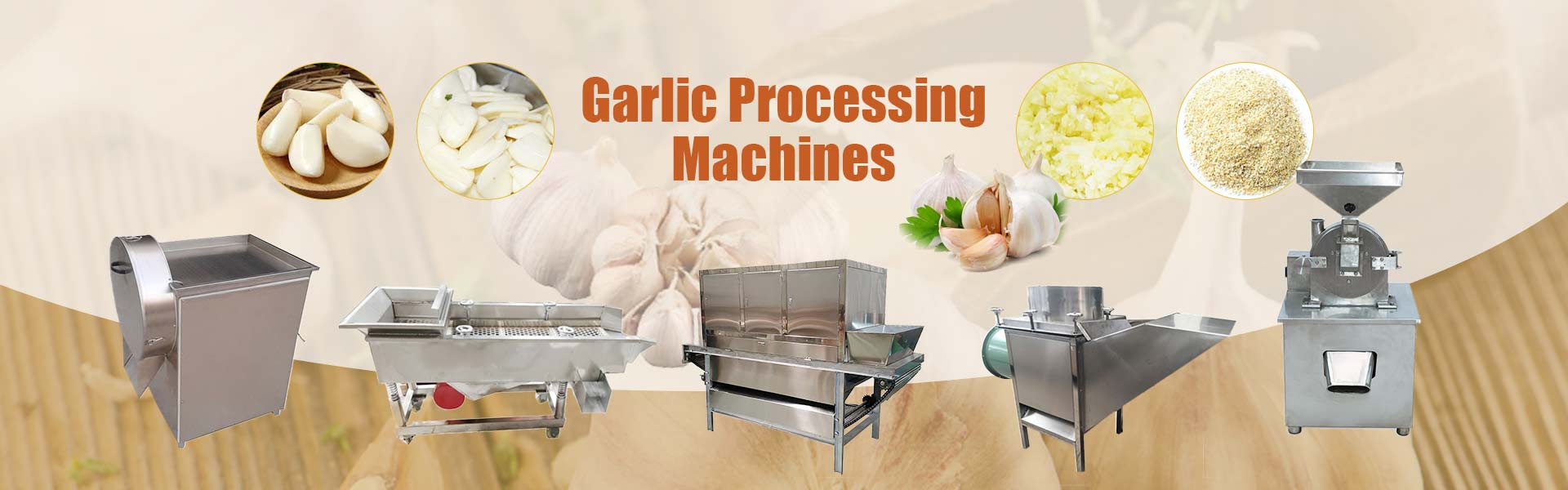 Garlic processing machihnes