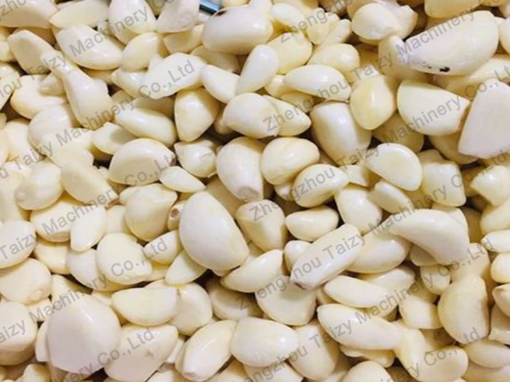 peeled garlic cloves by garlic peeler